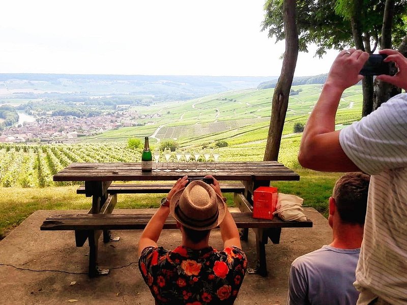 Exclusive Champagne Cellars & Dom Perignon Vineyards tour
