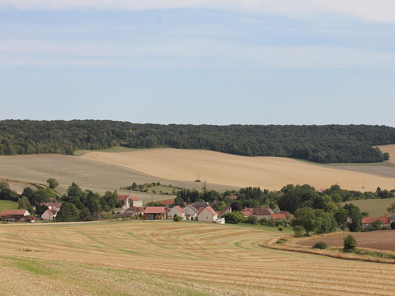 Private Half Day Champagne Tour  2 Family Vineyard Visits
