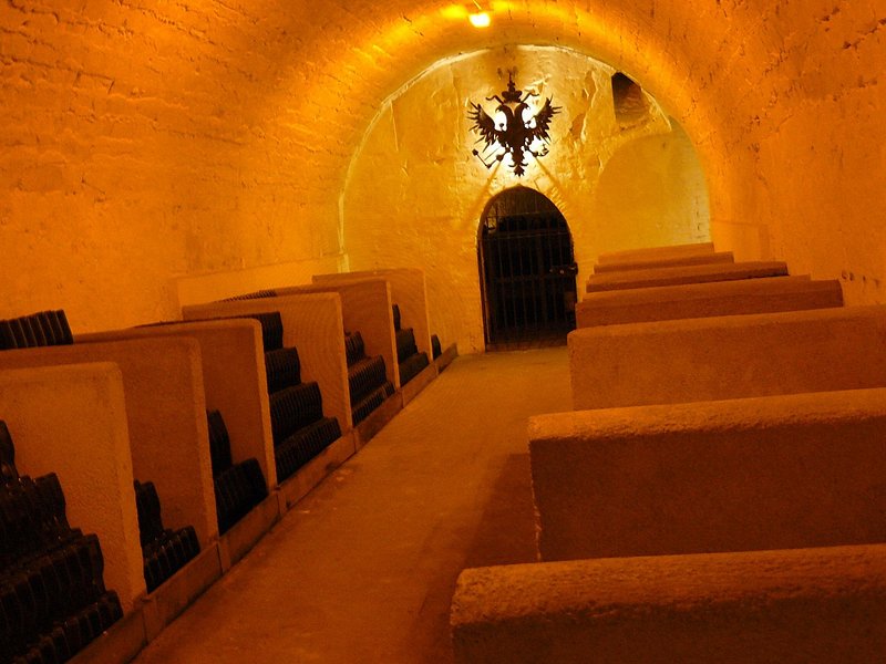Custom Planned Champagne Half Day Tour for Private Groups of 8+