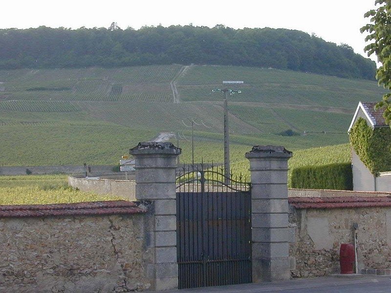 Private Grand & Premier Cru Chardonnay Champagne Vineyard Tour