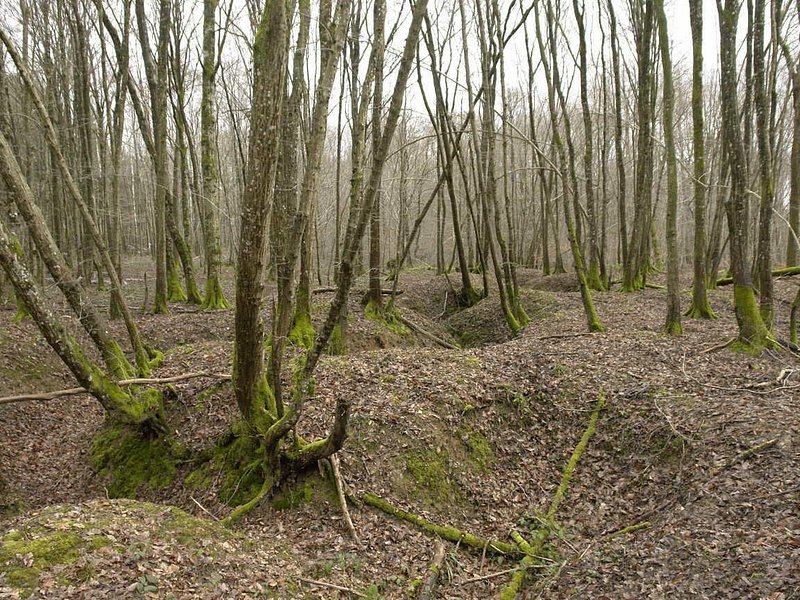 World War 1 Walk Through Trenches and Bunkers