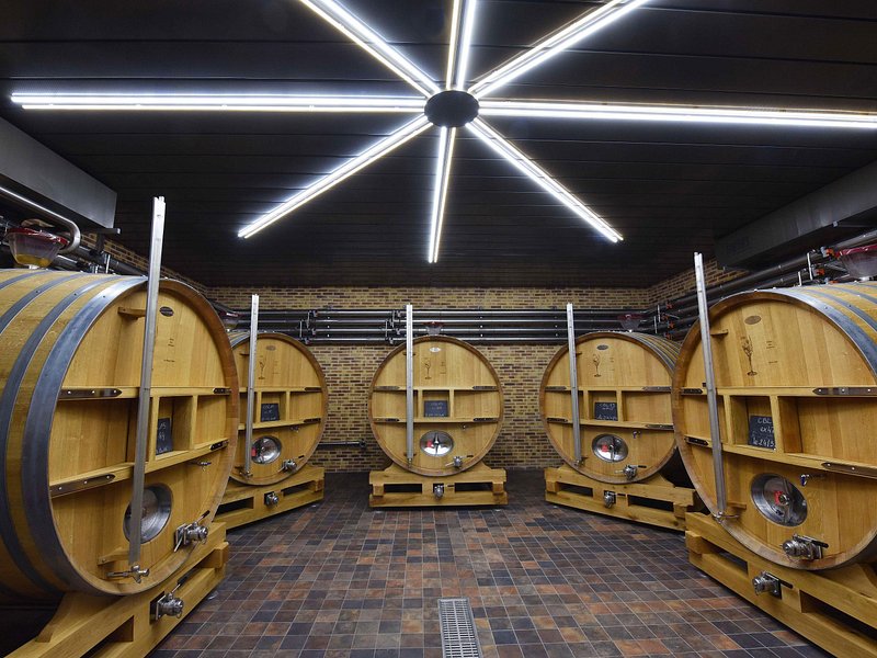 Half day private group tasting Champagne Domaine Coutant