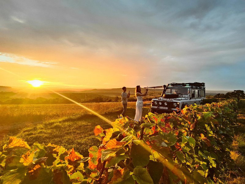 Sunset and champagne tasting DE the vineyards