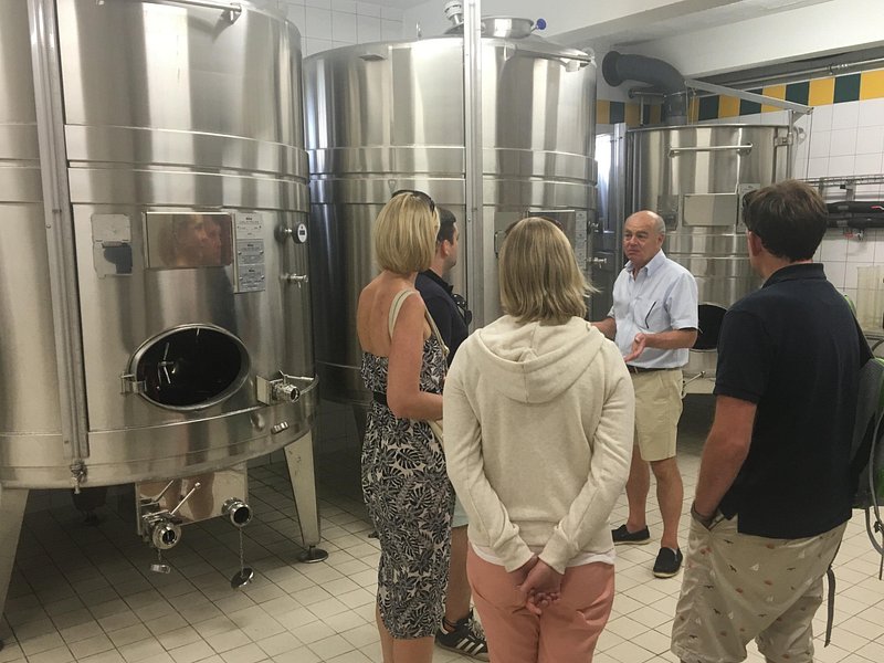 Private Grand & Premier Cru Pinot Noir Champagne Vineyard Tour