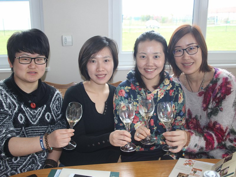 Champagne Day Tours