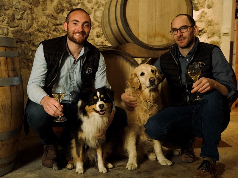 Champagne Tour and Tasting with a friendly guide in Marne Valley