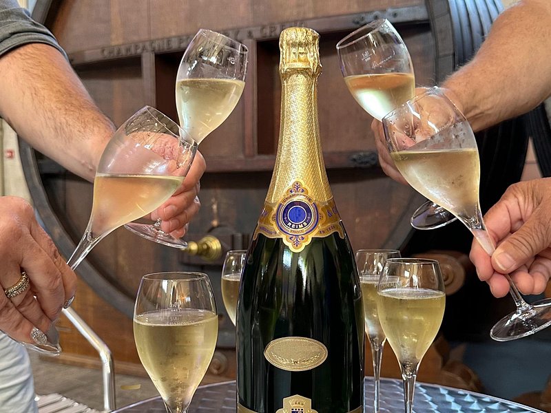Champagne Day Trip from Reims including 7 Champagne Tastings