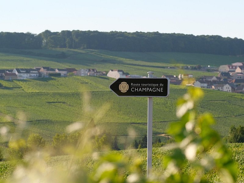 The Must-sees 3h30 from Epernay (Private Half day Champagne Tour)
