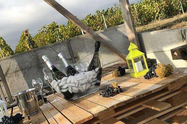 Champagne Lamiable: Stroll and taste in the Grand Cru Champagne vineyard