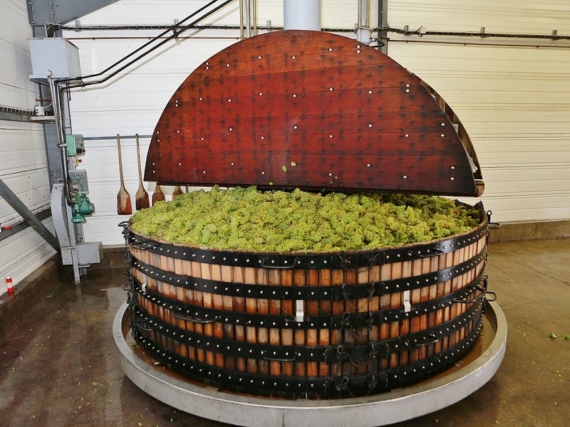 Champagne Guy De Chassey: Traditional Tour & Tasting