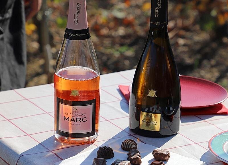 A unique sensory experience in the vineyards