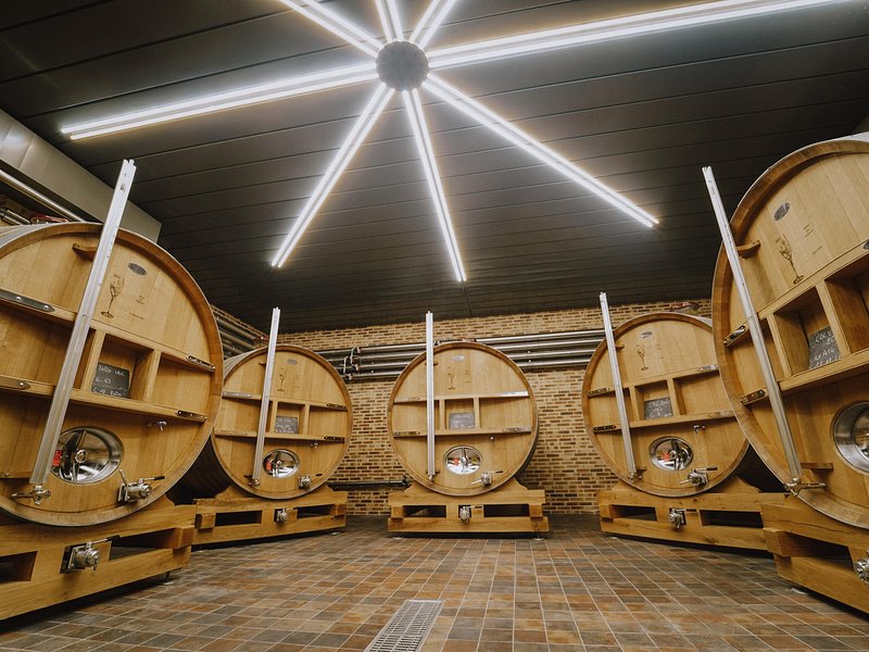 Private group play and Champagne tasting Domaine Coutant