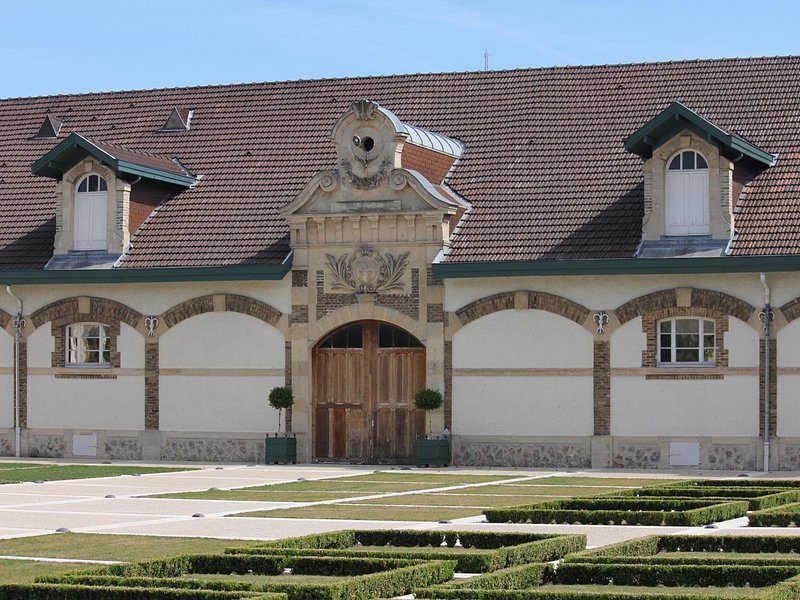 Champagne Ruinart & Grand Cru Blanc de Blancs Vineyard Tour