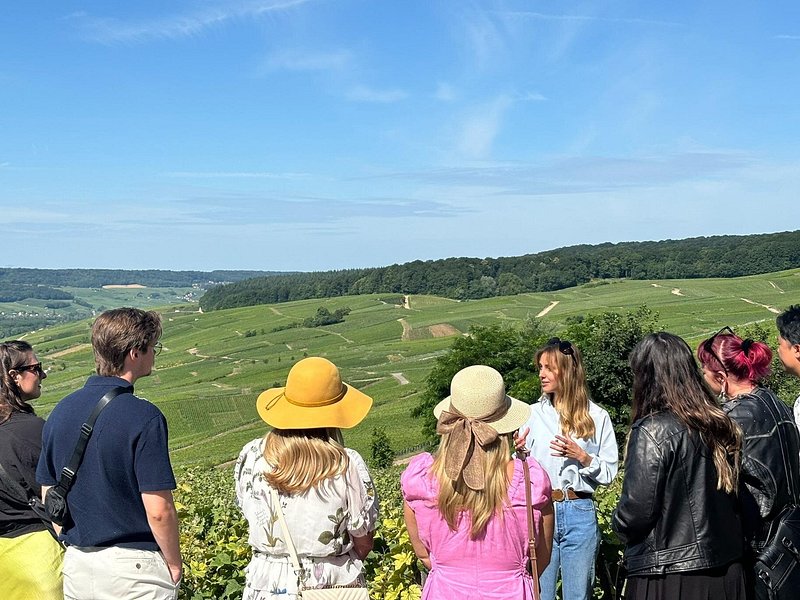 Reims: Small-Group Champagne Tour with Champagne Tastings and Lunch